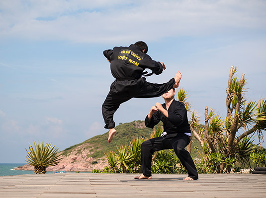 Martial Arts in Quy Nhon